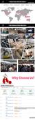 Love sex doll Cheap male masturbator sex toys realistic vagina tpe Big breast Piper Sex doll real adult dolls by Automatic Woman